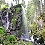Grossbach Hotel Menzenschwand-Hinterdorf