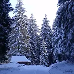 Grossbach Menzenschwand-Hinterdorf