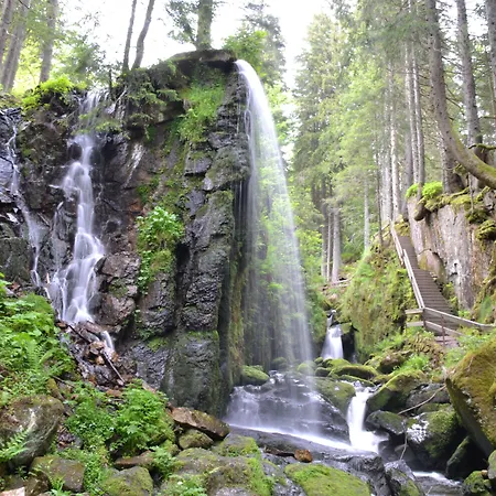 Grossbach Ξενοδοχείο Menzenschwand-Hinterdorf