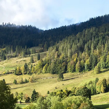 Grossbach 3* Menzenschwand-Hinterdorf