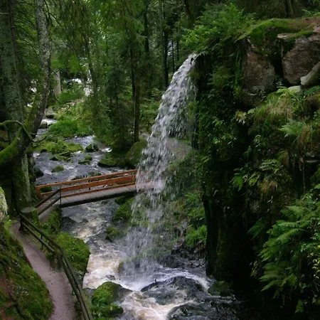 Grossbach 3* Menzenschwand-Hinterdorf