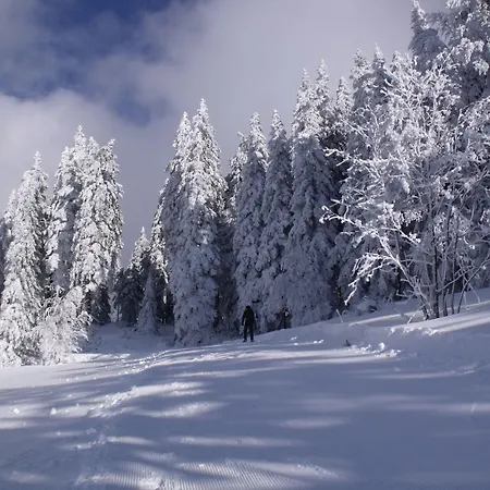 Ξενοδοχείο Grossbach 3*