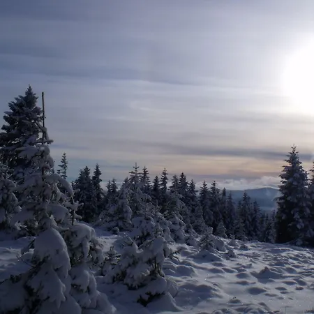 Grossbach 3* Menzenschwand-Hinterdorf