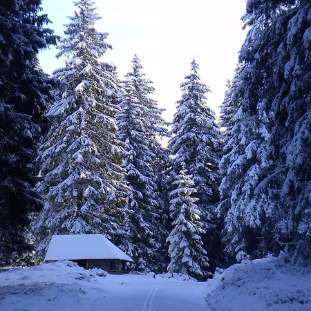 Grossbach Menzenschwand-Hinterdorf
