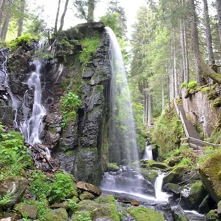 Hotel Grossbach Menzenschwand