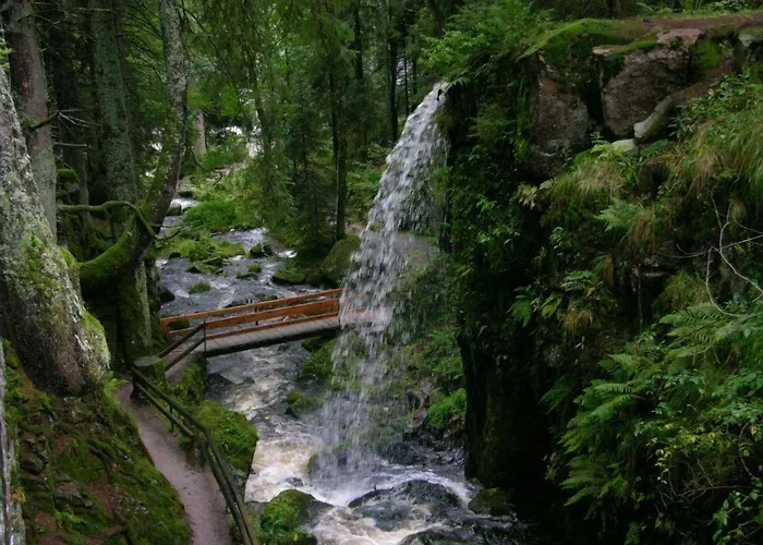 Grossbach 3* Menzenschwand-Hinterdorf