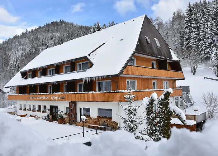 Grossbach Menzenschwand-Hinterdorf